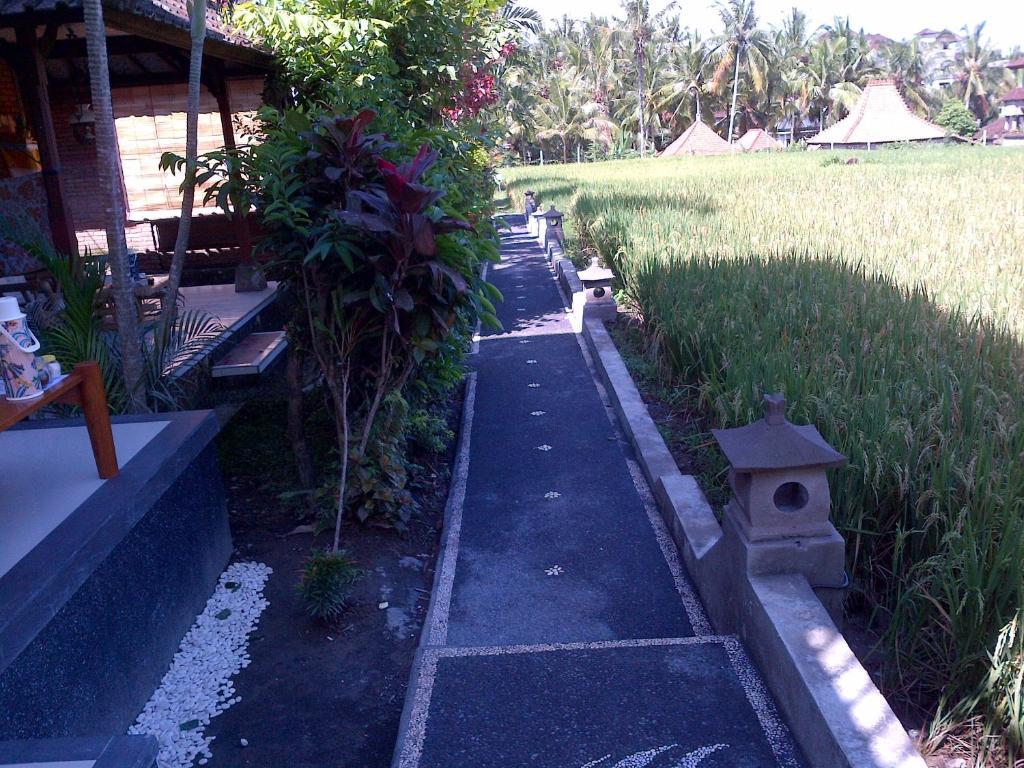 Puji Hostel And Bungalow Ubud Exteriör bild