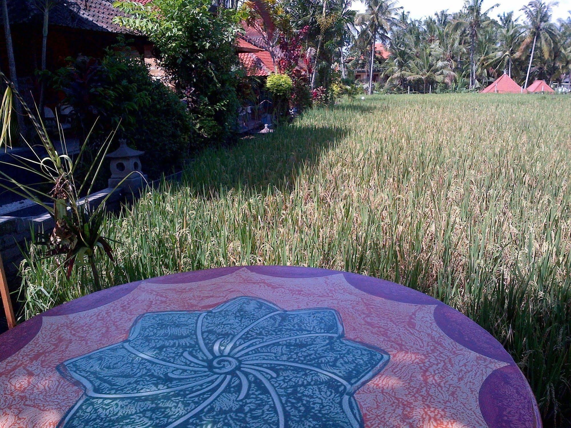 Puji Hostel And Bungalow Ubud Exteriör bild